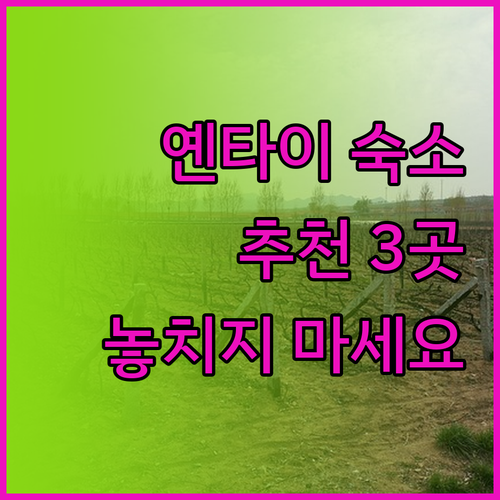 옌타이 숙소 추천 3곳 놓치지 마세요