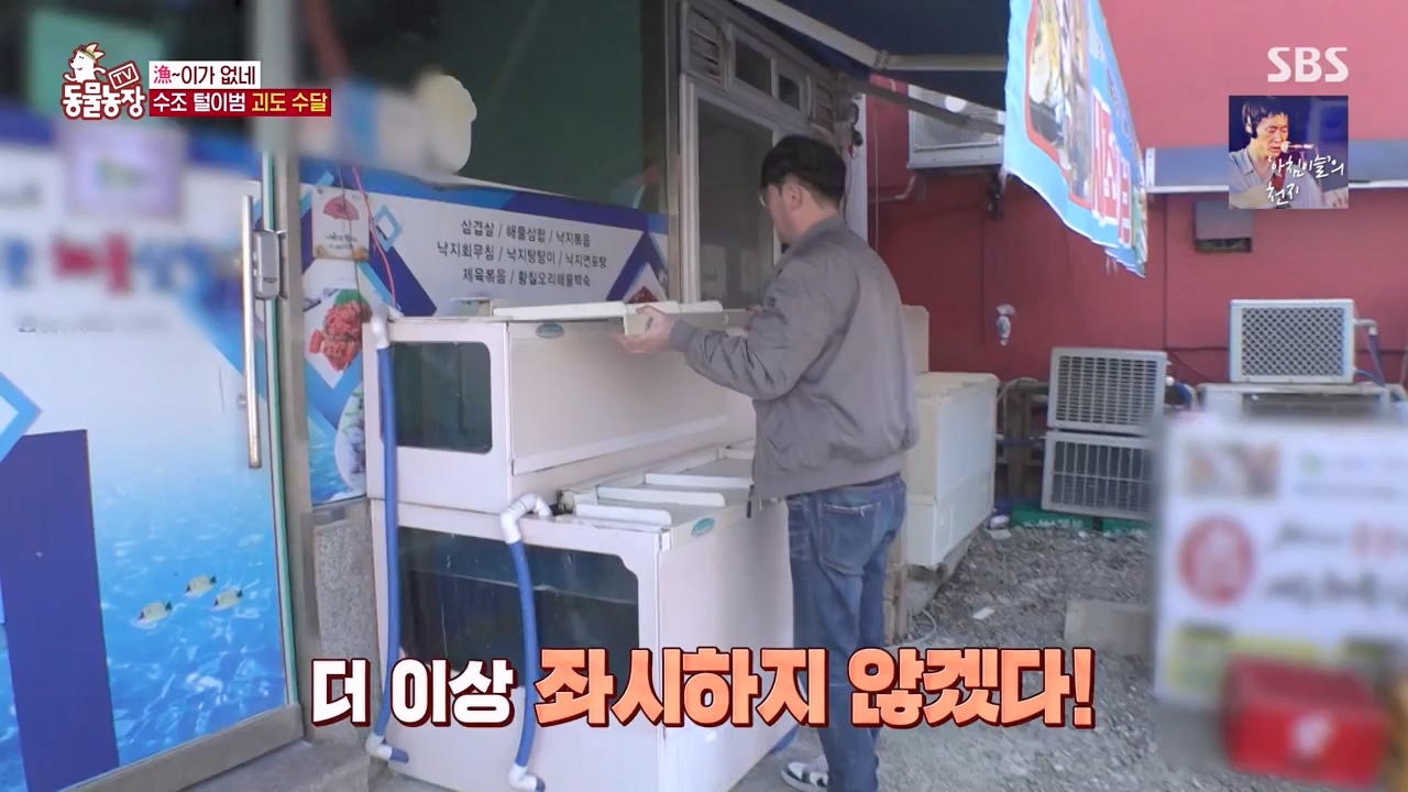 TV 동물농장.E1168.240422p-NEXT.mp4_20240421_170938.159.jpg