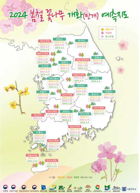 봄철 꽃나무-벚꽃&#44; 개나리&#44; 진달래 예상시기