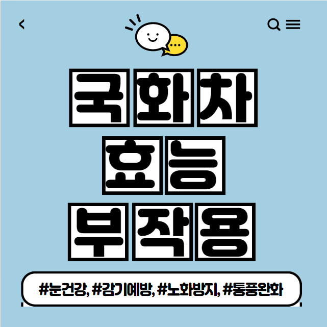  국화차 효능 부작용 정리(Feat. 국화차 만드는 법)