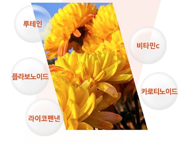 마리골드(메리골드) 차 효능과 만드는 법