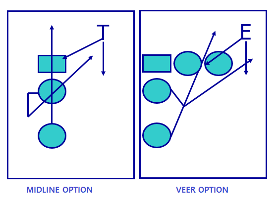Installation Of The Option Game