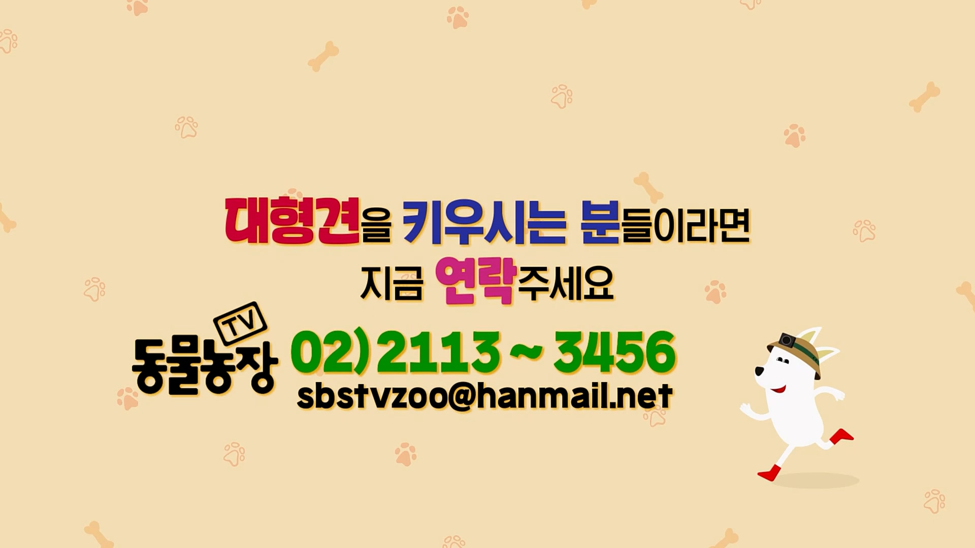 TV 동물농장.E1109.230226p.H264-F1RST.mp4_20230226_161927.785.jpg