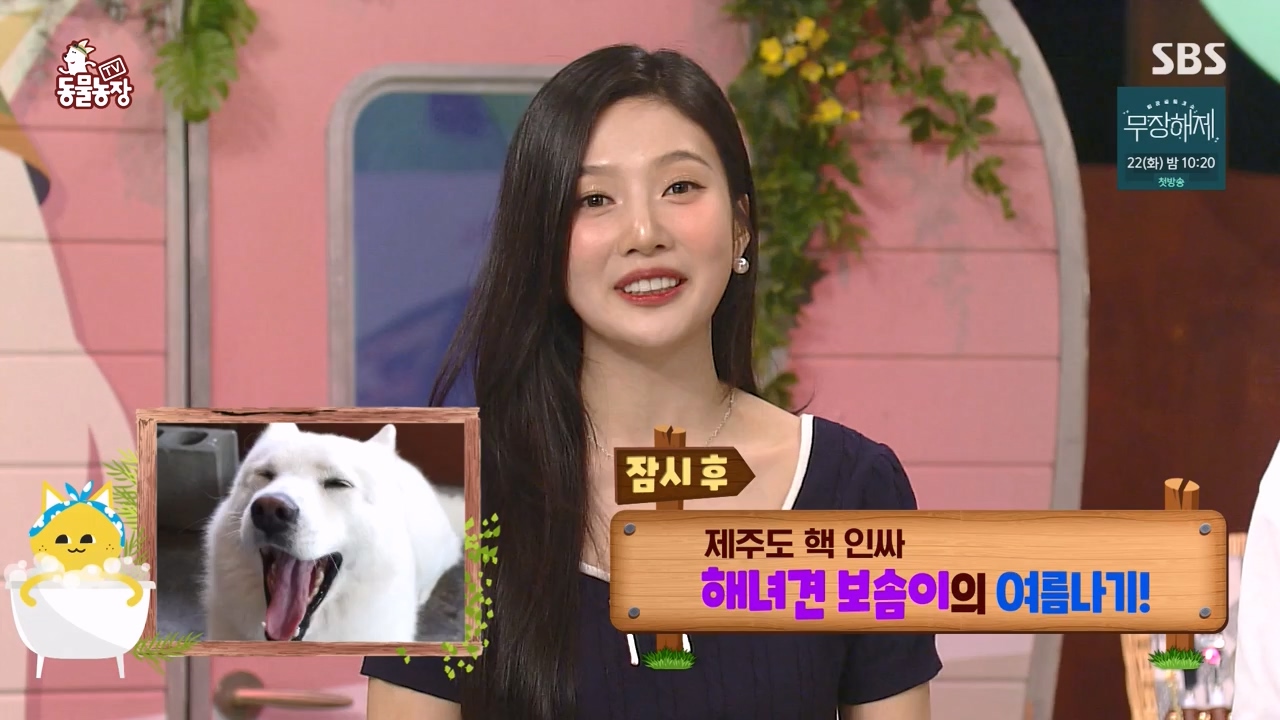TV 동물농장.E1134.230821p-NEXT.mp4_20230820_193336.973.jpg