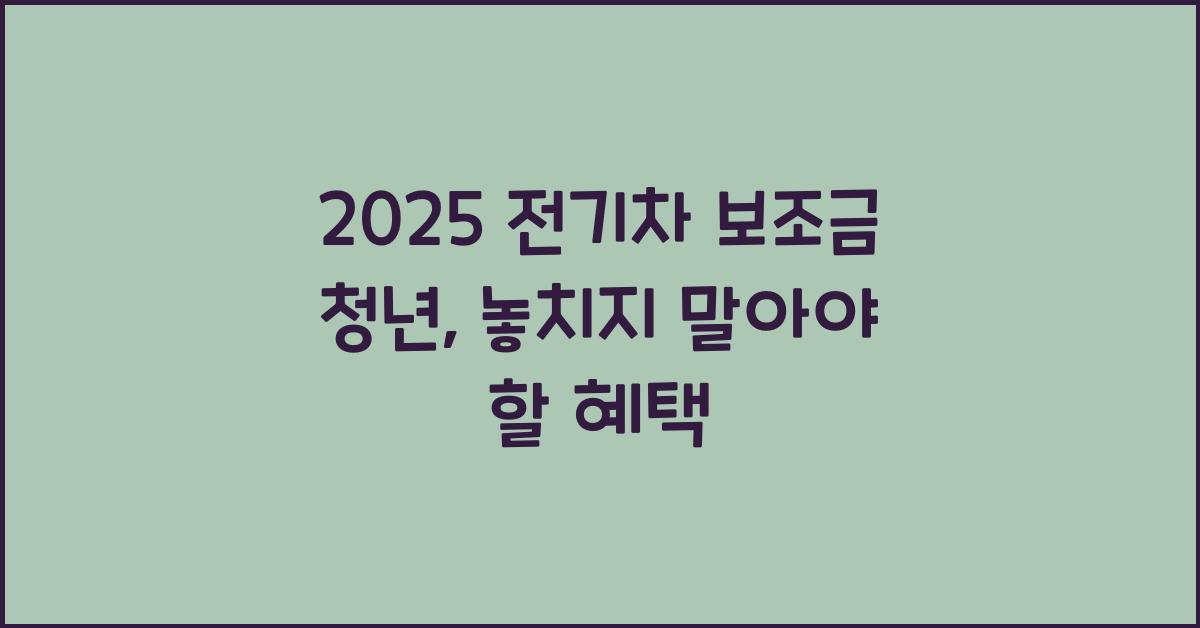 2025 전기차 보조금 청년