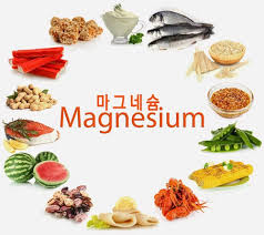 마그네슘이-풍부한-음식