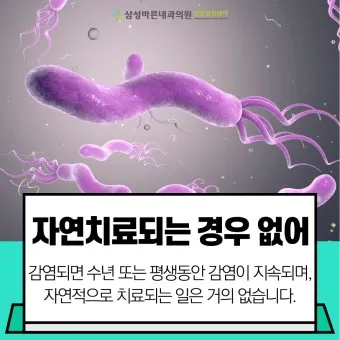 헬리코박터균 제균 치료 치료방법 성공률_23