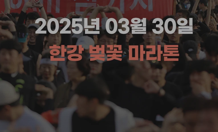 한강 벚꽃 마라톤 대회장 교통 및 주차장 총정리(2025)