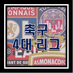 축구 4대 리그에 대해서 알아보자!