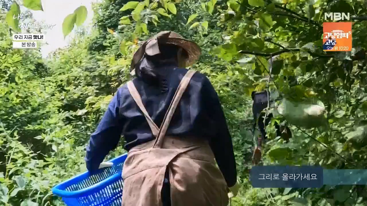 나는 자연인이다.E609.240613p-NEXT.mp4_20240613_195119.724.jpg