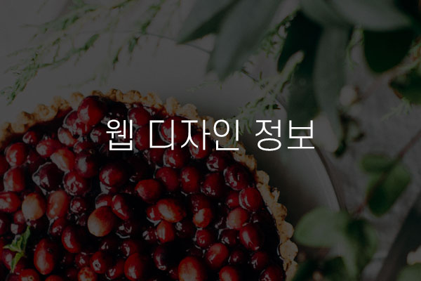  웹 디자인 정보