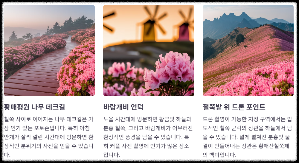 인생샷 명소
