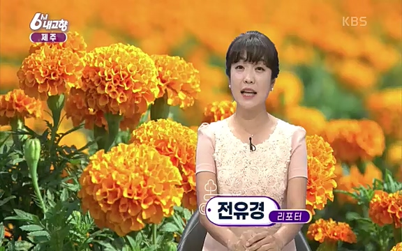 [7612회] 6시 내고향 - KBS7612회] 6시 내고향.ts_20220912_174118.607.jpg