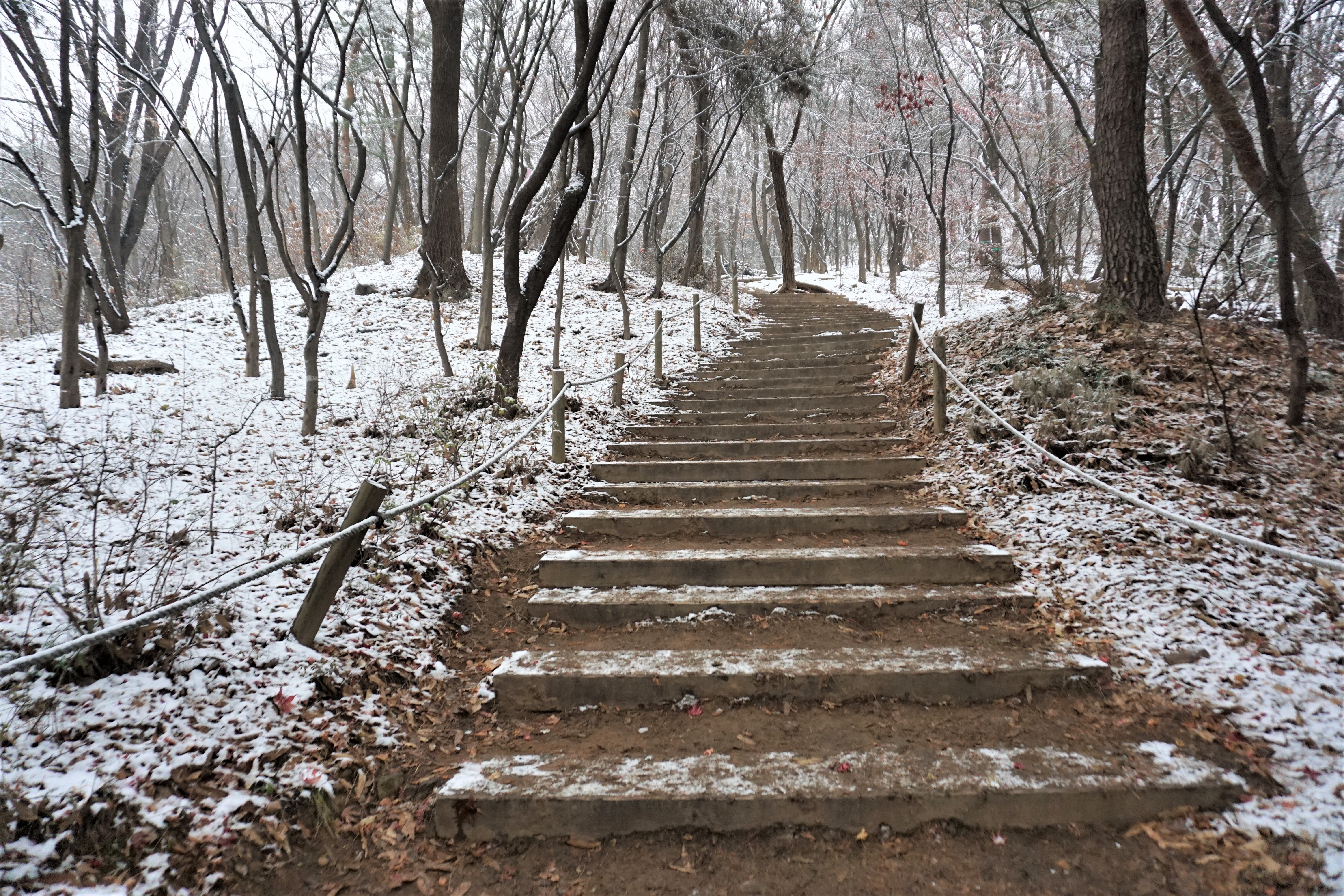 오르막 계단갈에 쌓인 눈