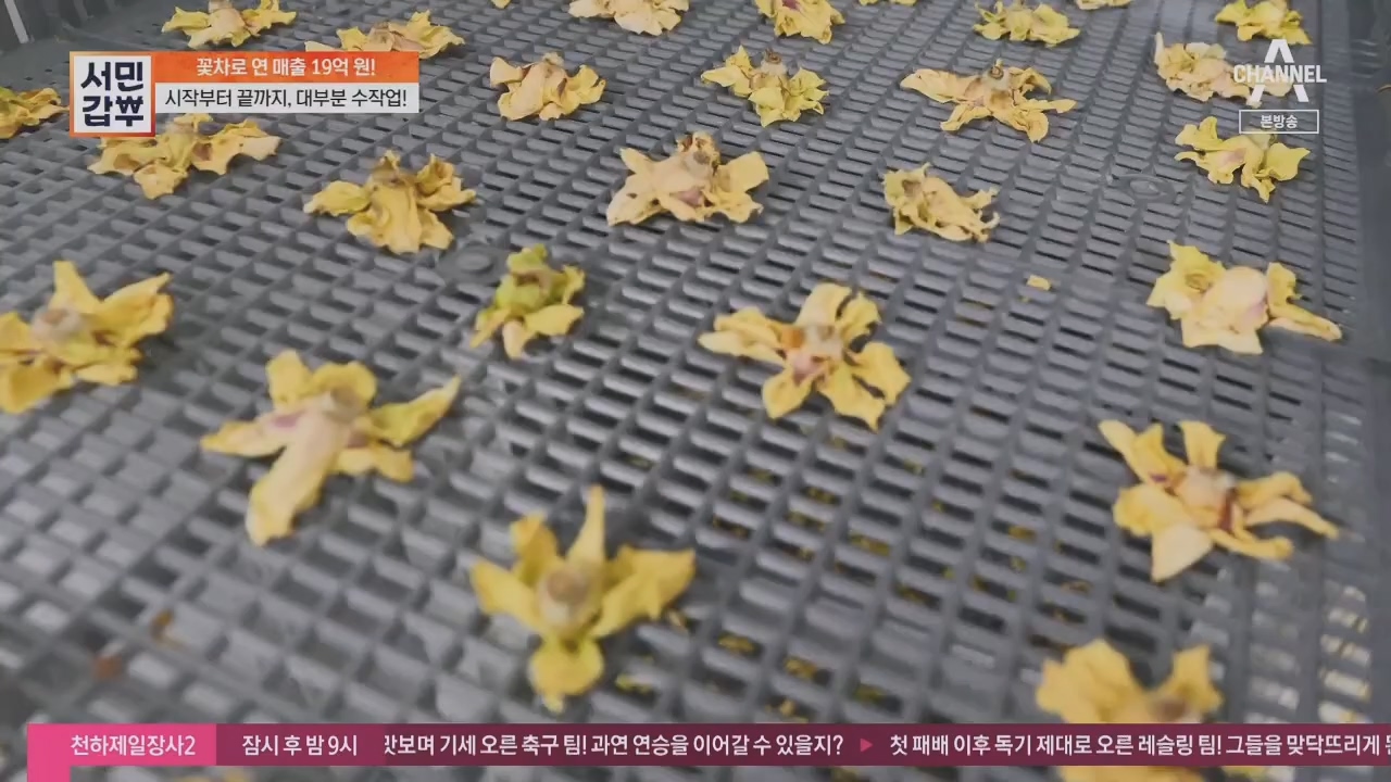 서민갑부.E431.230416p.H264-F1RST.mp4_20230417_203830.847.jpg