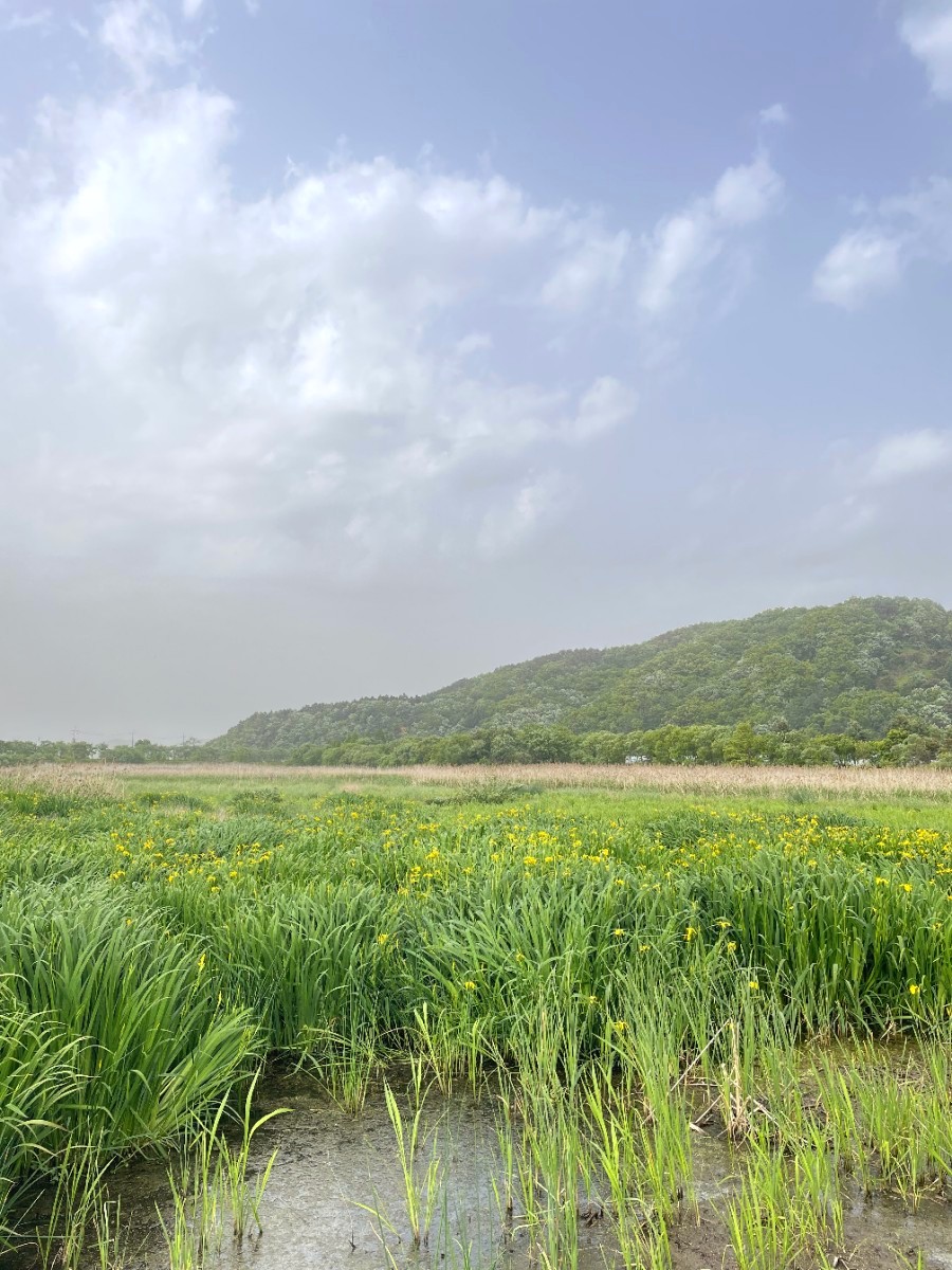 경안천 습지생태공원 여행 경기도 광주에 가볼 만한 곳 18