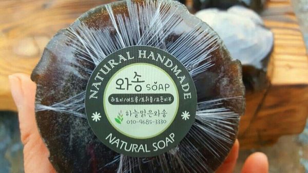 하늘맑은와송 이미지