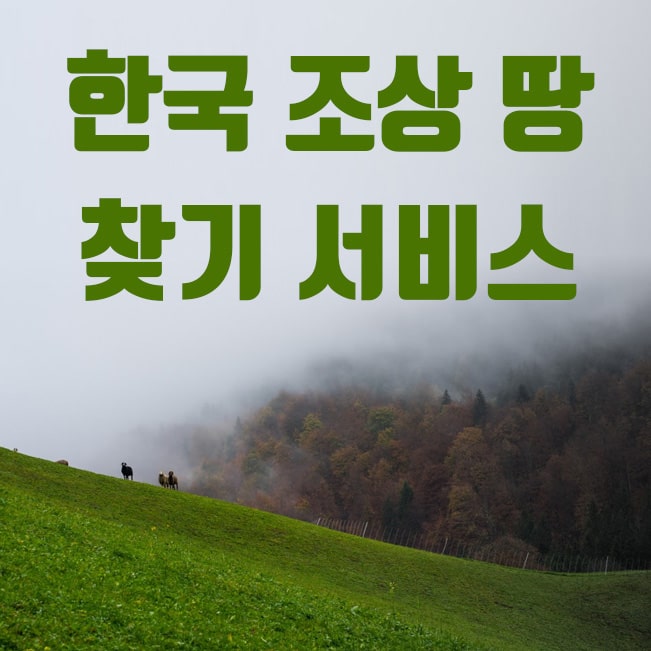  한국 조상땅 찾기 서비스 조회 및 이용방법