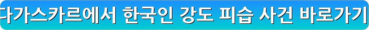 마다가스카르에서 한국인 강도 피습 사건_4