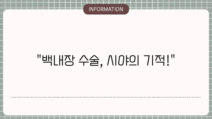 백내장 시야: 