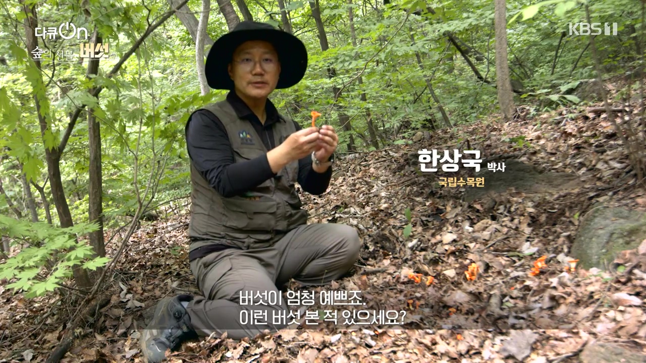 다큐 온.E227.231120p-NEXT.mp4_20231121_201910.926.jpg