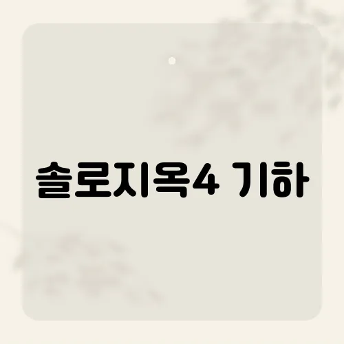 솔로짐 이미지
