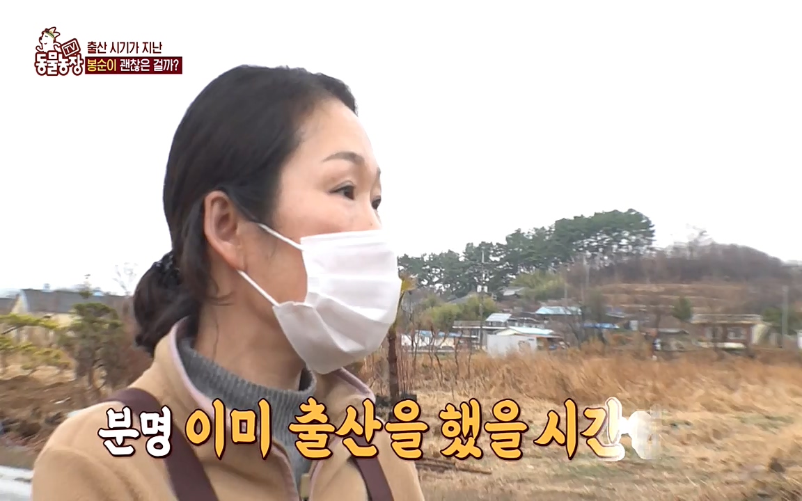 TV 동물농장.E1070.220523p-NEXT.mp4_20220522_182036.619.jpg