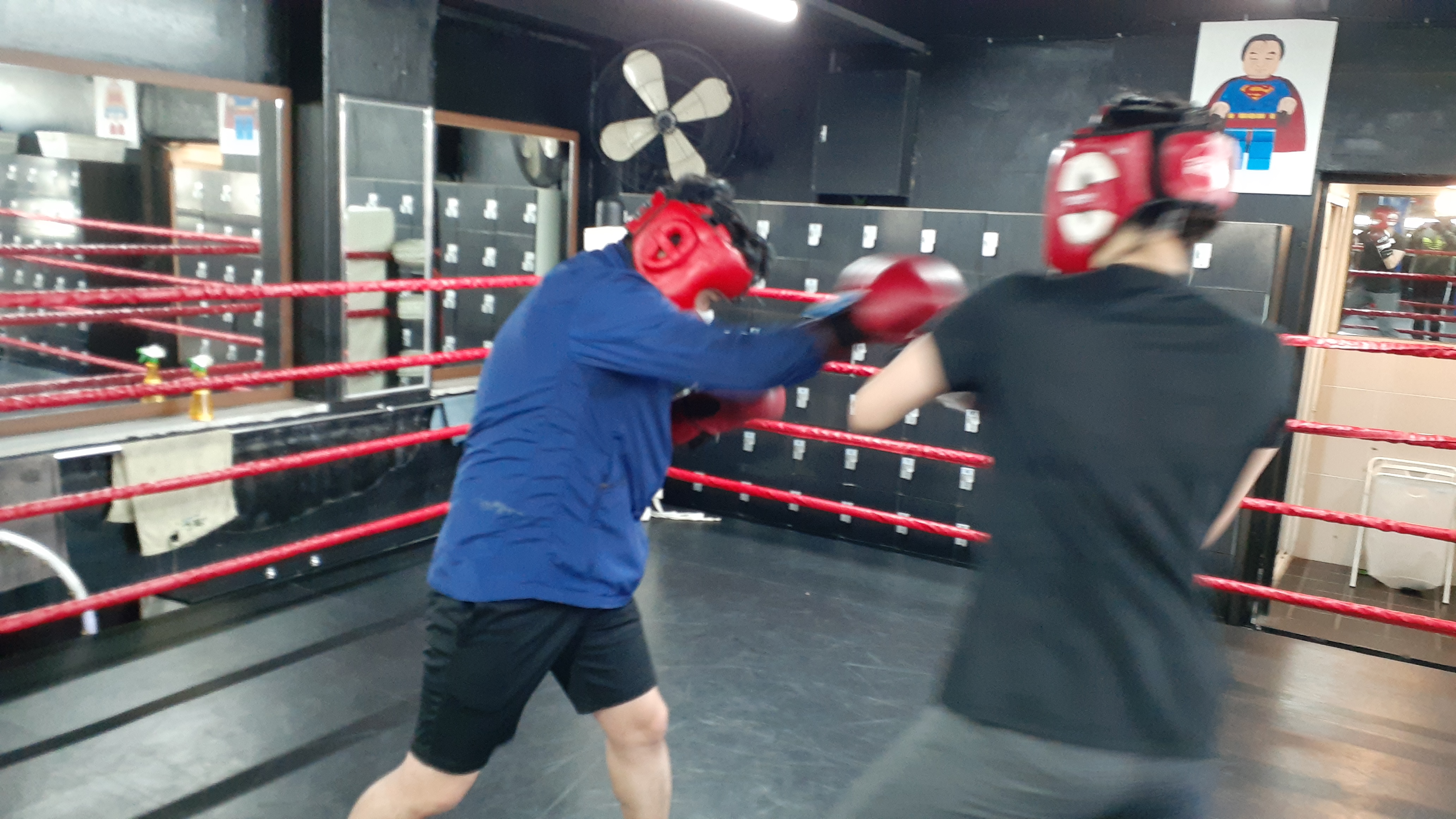 27. 3. 23. 양천구 복싱 대한복싱체육관 신정동 복싱 목동 복싱 신월동 복싱 경찰 무도 자격증 11