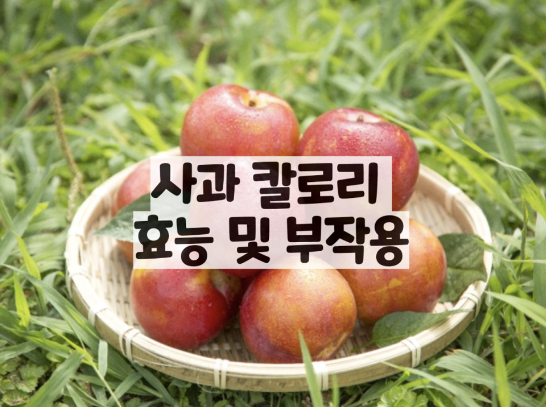  사과 한개 칼로리 작은 것 1개, 효능 및 부작용 정리