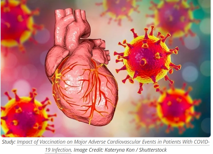 백신 접종 후 생기는 흔한 만성 증상들: 예일대 의대 Study Reveals Most Common Chronic Symptoms After COVID-19 Vaccination