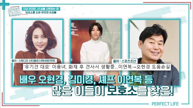 "믿을수없는 금액이 통장에…." 배우 생활 내려놓고 18년 째 유기견 돌보는 이용녀가 갑자기 돈쭐 당한 근황