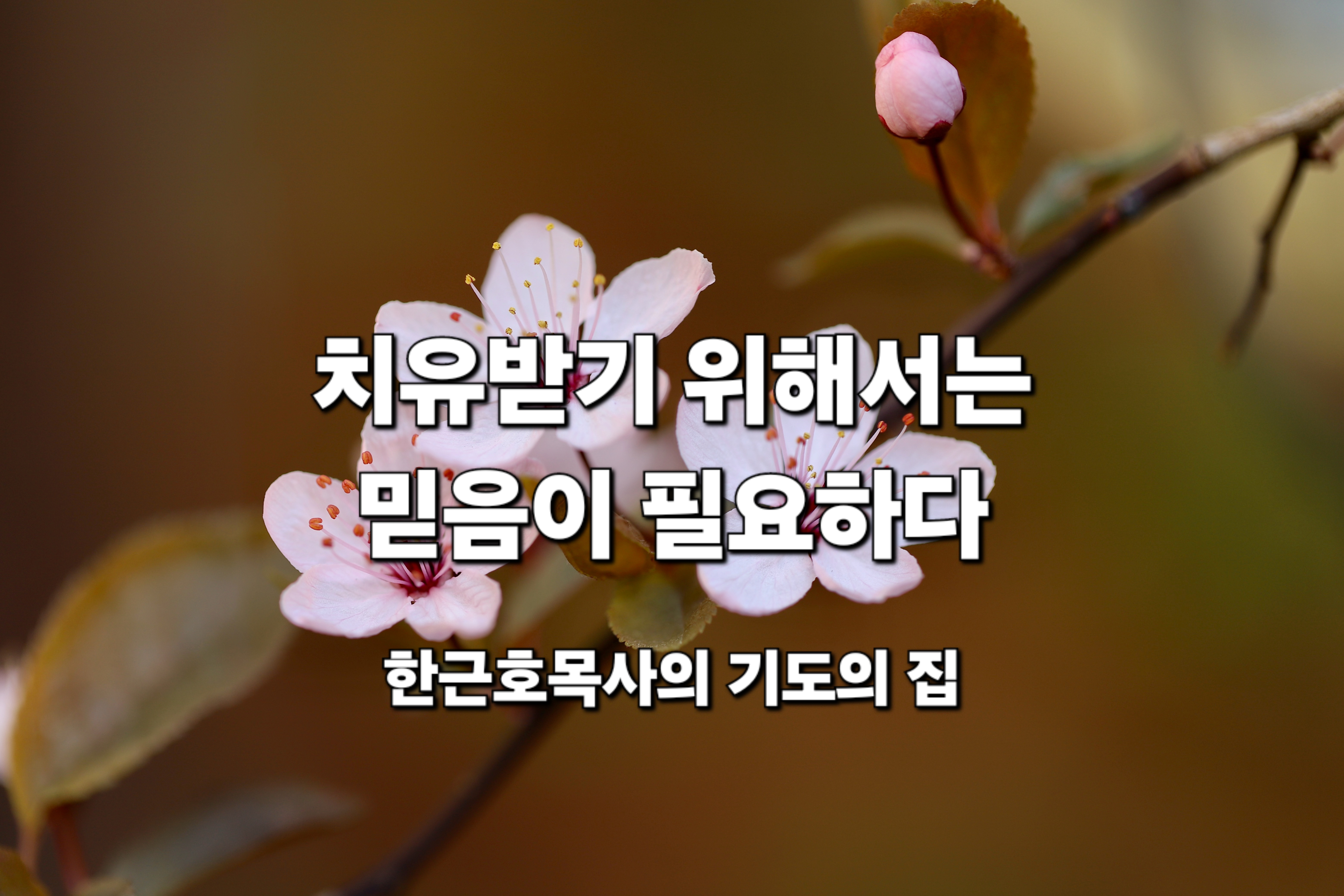  치유를 받기 위해서는 믿음이 필요합니다.