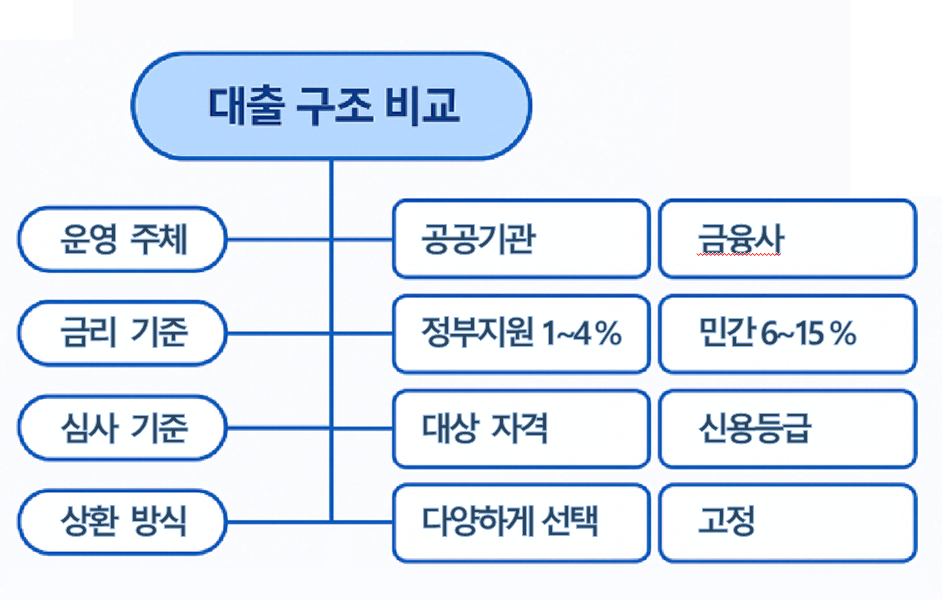 정부지원 대출과 민간 금융사 대출의 주요 차이점을 항목별로 정리한 마인드맵. 금리, 심사기준, 대상 등 핵심 비교 정보를 시각적으로 전달.