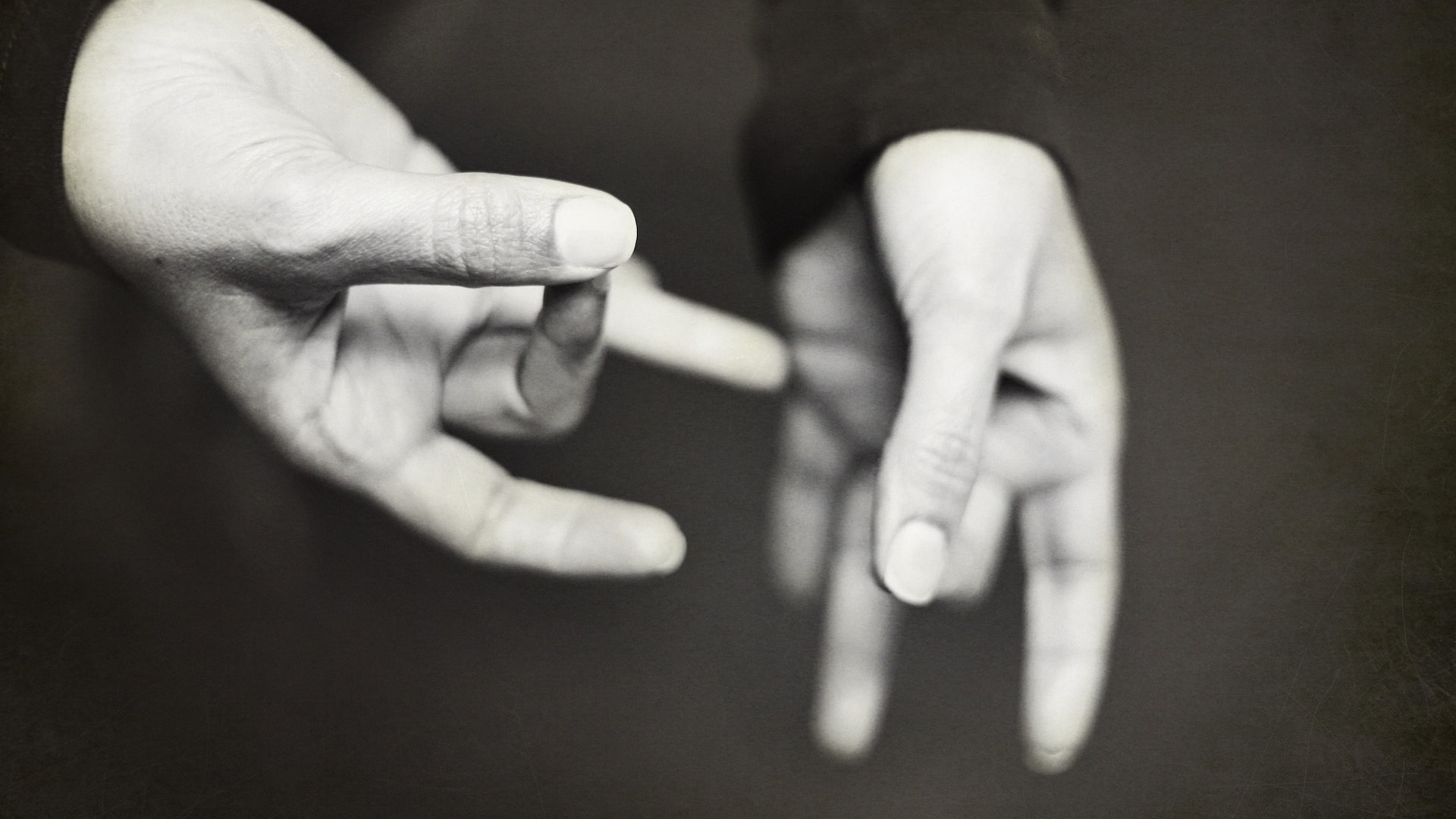  수화통역사 Sign Language Interpreter