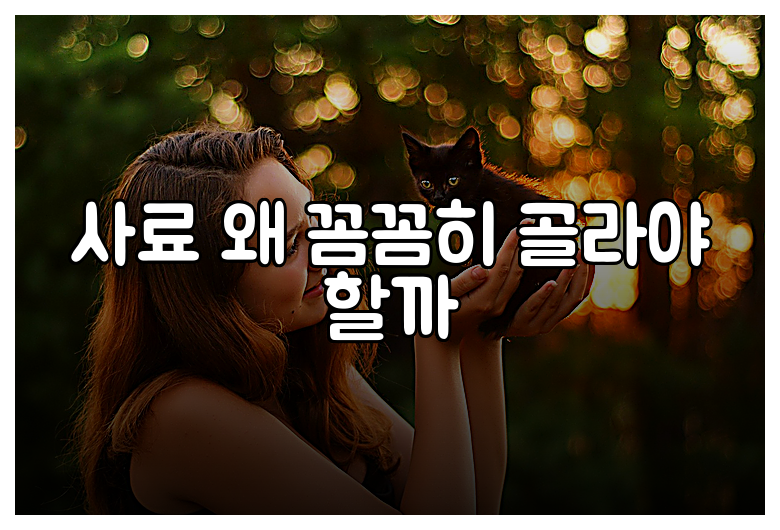 사료 왜 꼼꼼히 골라야 할까