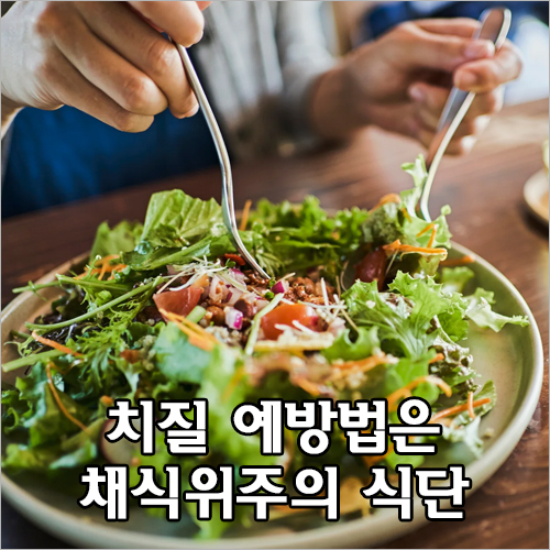 치질 예방법은 고기보다는 채식위주의 식단을 해야한다