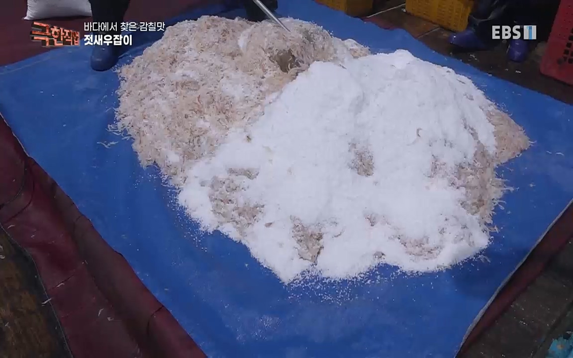 TV - 교육의 중심 EBS바다에서 찾은 감칠맛 새우젓과 다시마.mp4_20220717_175004.513.jpg