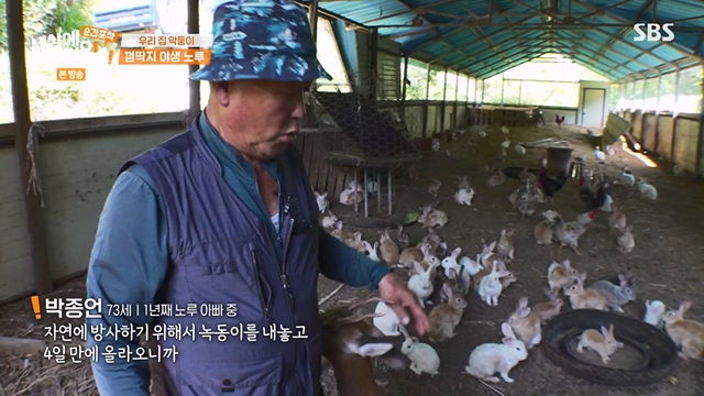 순간포착 세상에 이런일이.E1237.230716p-NEXT.mp4_20230716_174153.875.jpg