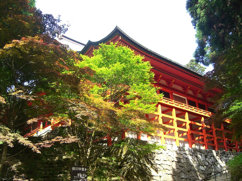 일본의 새로운 골든 루트를 여행하다-도쿄&#44; 교토&#44; 오사카 5박 6일-교코 엔리야쿠지