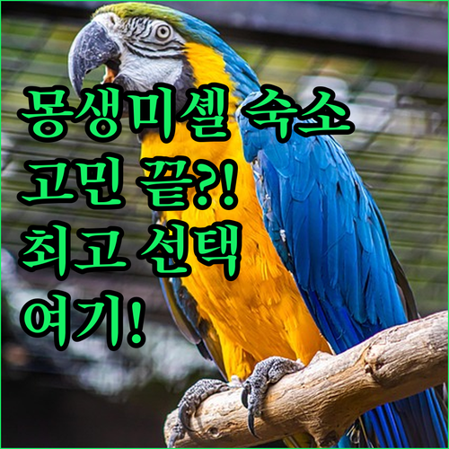 몽생미셸 숙소 고민 끝 최고의 선택은