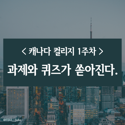 캐나다 컬리지 1주차: 과제와 퀴즈가 쏟아진다.