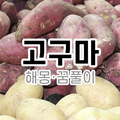 고구마 감자 꿈 해몽 풀이 무료 심는 먹는 캐는 보는 안는 쌓여있는 주는