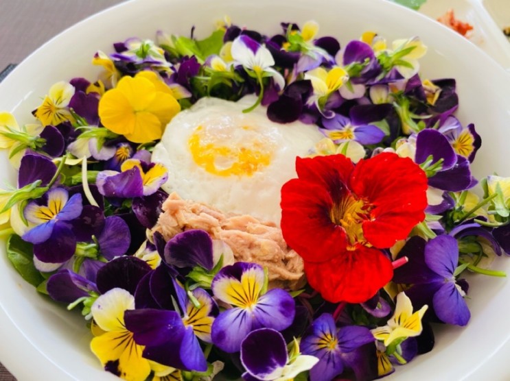 스마트팜 더불어 사는 세상, 정성을 4