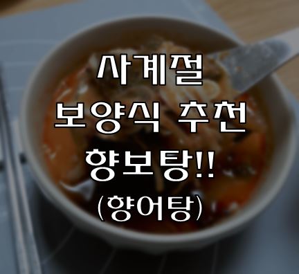  사계절 보양식으로 향보탕(향어탕) 추천!!