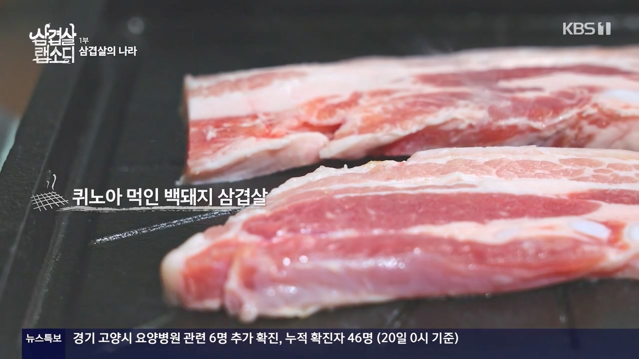 삼겹살 랩소디.E01.201221p-NEXT.mp4_20240221_201310.028.jpg