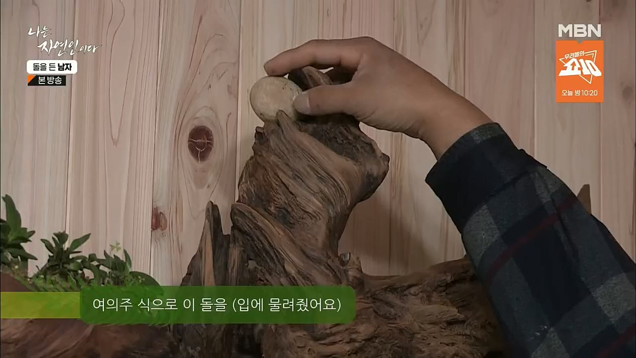 나는 자연인이다.E532.221215p.H264-F1RST.mp4_20221215_194304.085.jpg