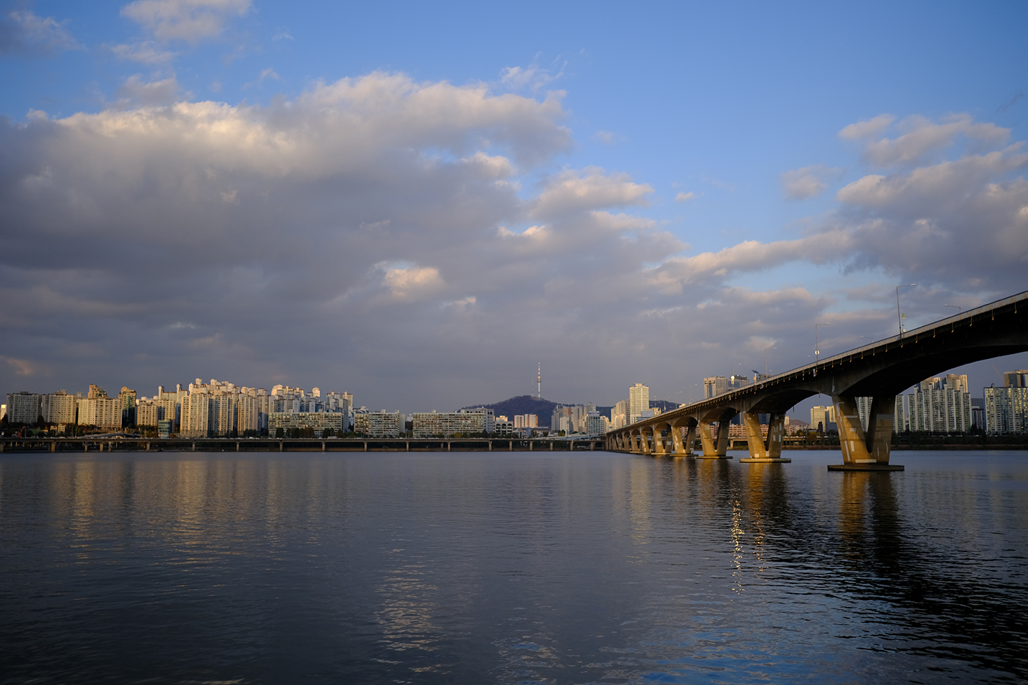  [카메라입문자] 후지필름 X-T30 ii 카메라 구입 / 촬영사진