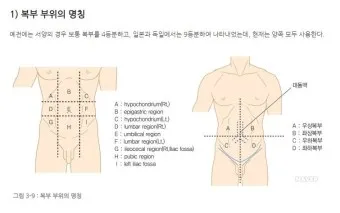 왼쪽 아랫배 통증 움질일때 콕콕 땡김_22