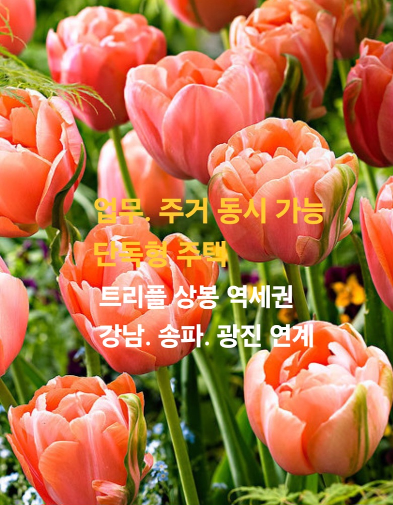 테마빌딩 이미지
