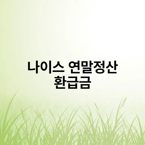 나이스 연말정산 환급금